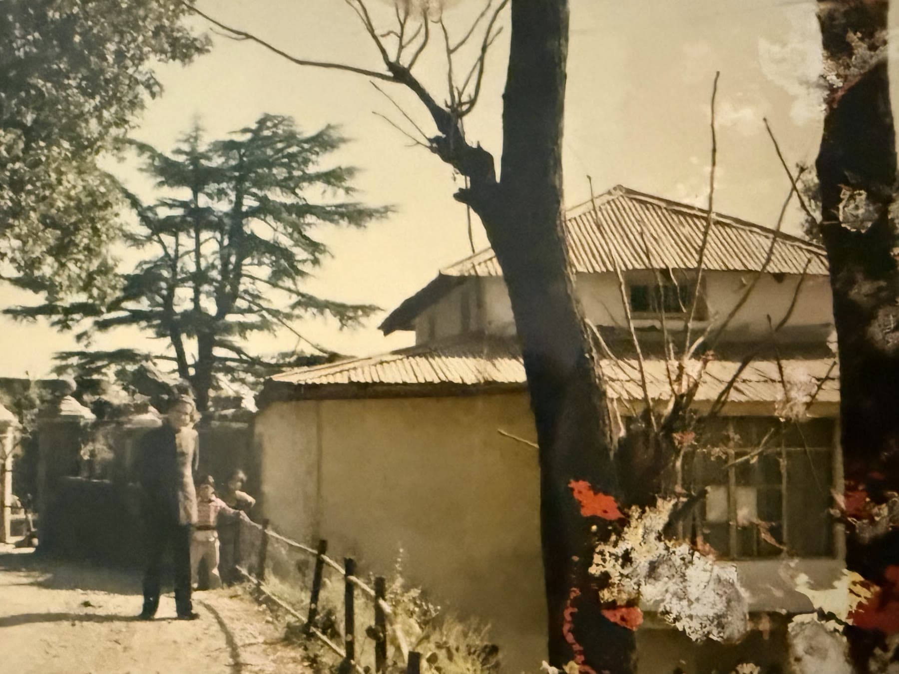Dr. Haridutt Bhatt Shailesh standing outside Shail Shikhar