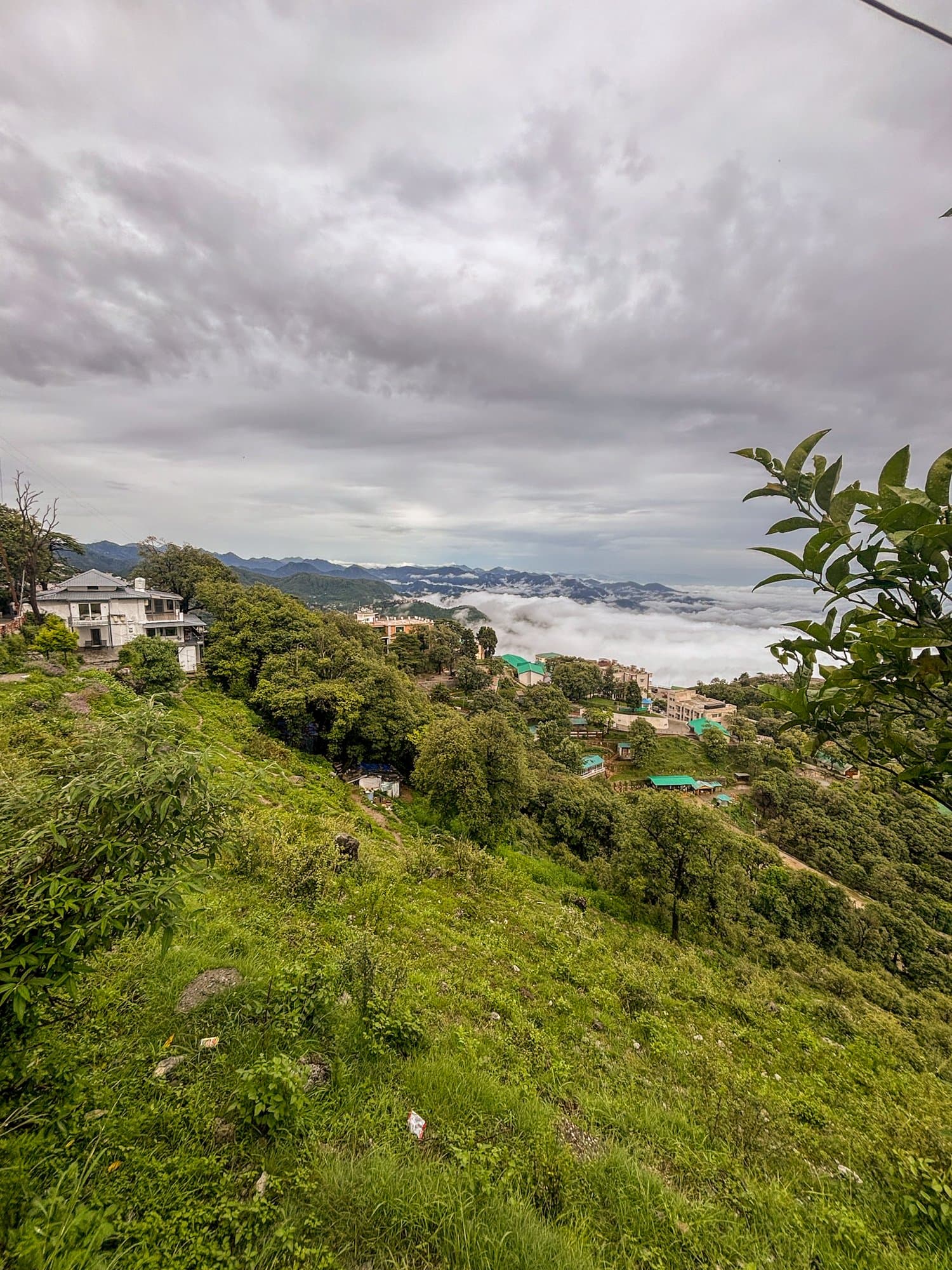 The cloud sea from the top of the garden at Shail Shikhar Cottage, Mussoorie