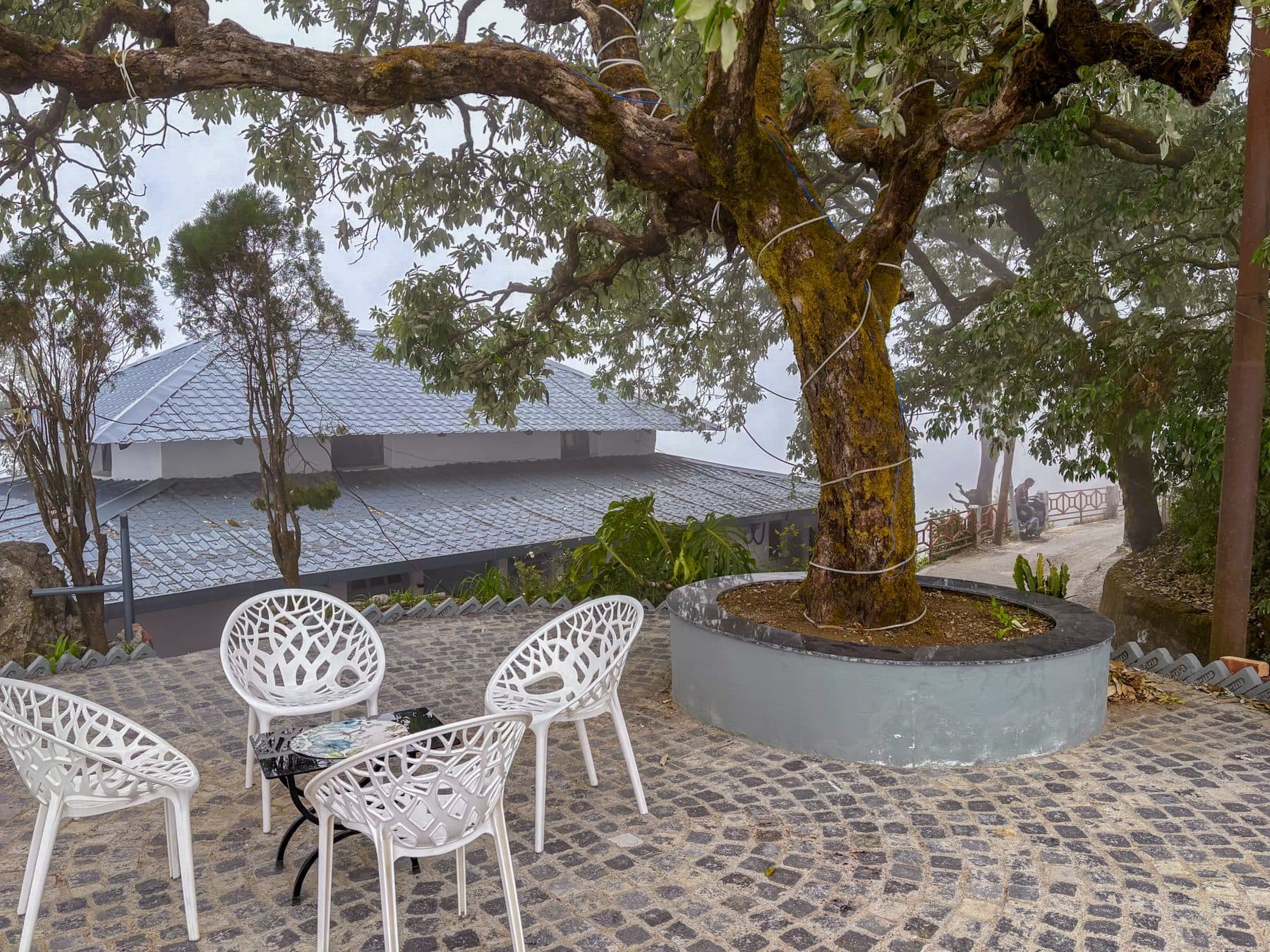 The rock garden on the first floor, under the oak, at Shail Shikhar Cottage, Mussoorie