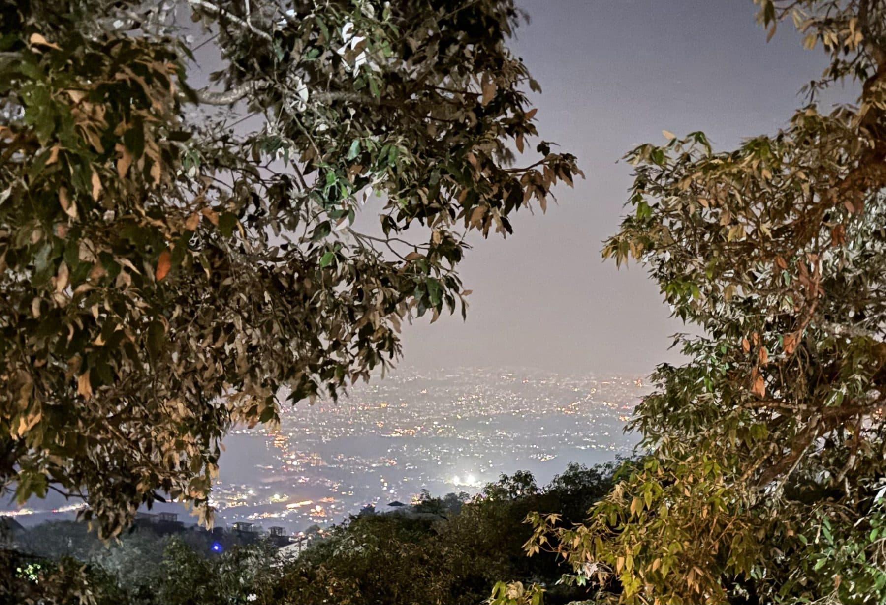 Dehradun's lights, through the oak at Shail Shikhar Cottage, Mussoorie