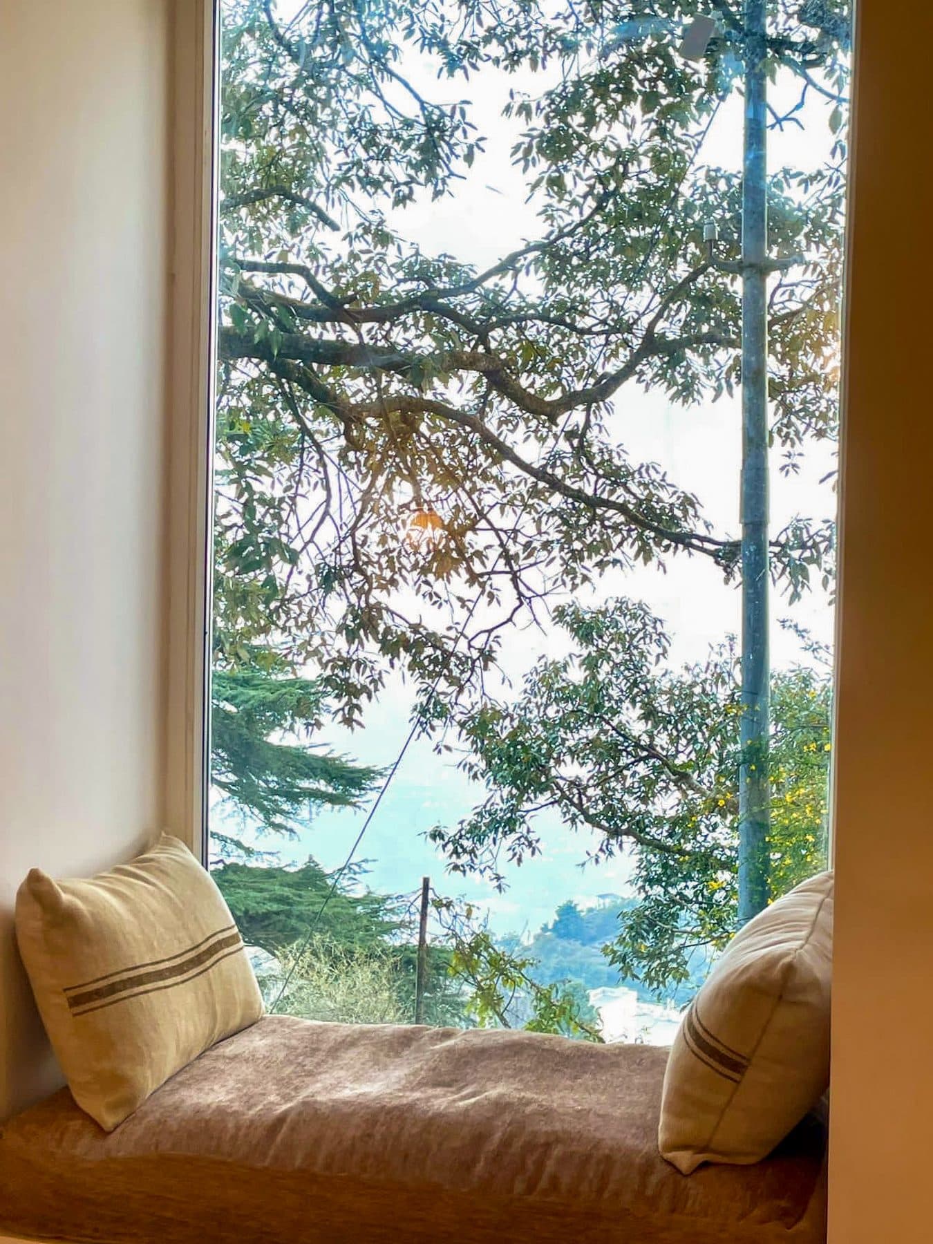 The window seat, the deodar outside at Shail Shikhar Cottage, Mussoorie