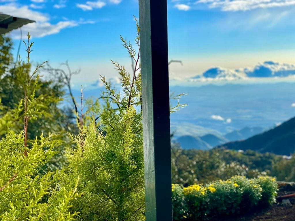 Garden foliage and distant Himalayan ridges viewed from Shail Shikhar